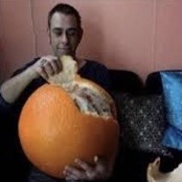 benjamin-netanjahu.com favicon